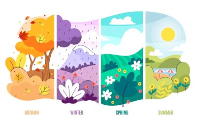 Wpływ sezonowości na strategie marketingu afiliacyjnego | Afiliacja